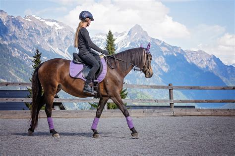 Comment on appelle quelqu'un qui fait de l'équitation.